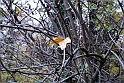 Parco Europa Autunno_062